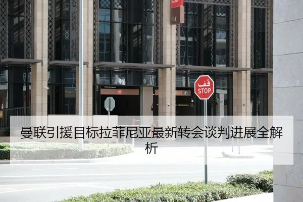 曼联引援目标拉菲尼亚最新转会谈判进展全解析 - JIUZHOU SPORTS